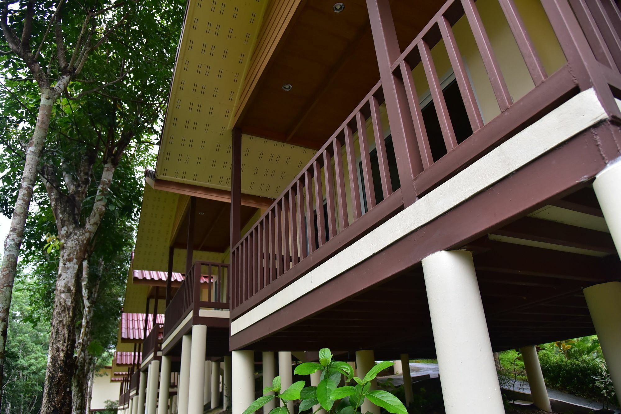Khao Sok River Home Resort Khao Sok National Park Exterior foto