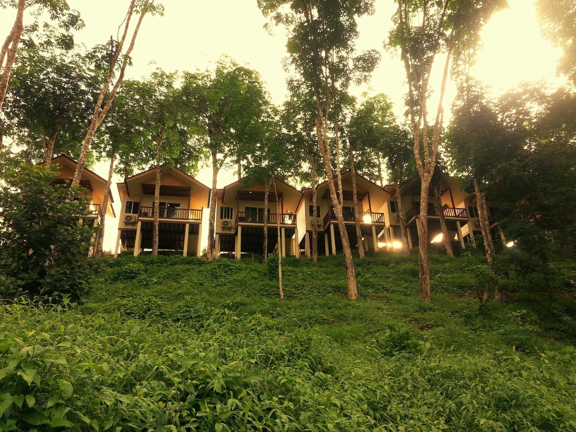 Khao Sok River Home Resort Khao Sok National Park Exterior foto